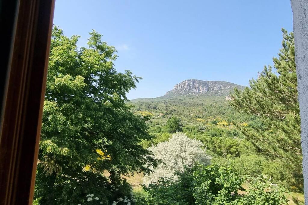 Gite De La Confluence Padern Екстериор снимка
